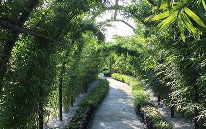 Nơi văn phòng tọa lạc là gần con suối.