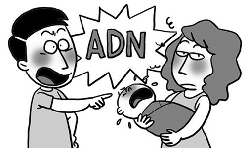 Cay dang cau chuyen gia dinh tan nat vi… xet nghiem ADN