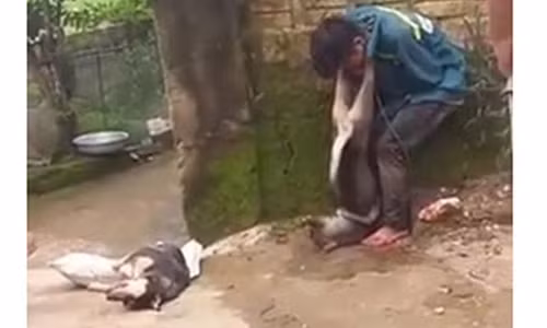 Trom cho, nam thanh nien bi nguoi dan treo cho len co