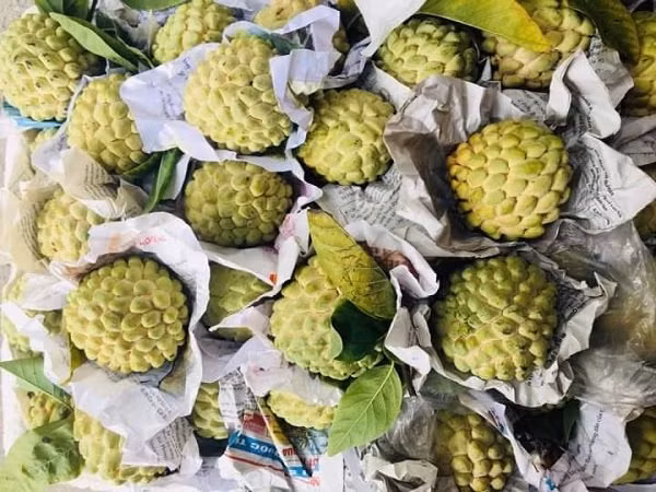 Na bo duoc lung mua: Hang 