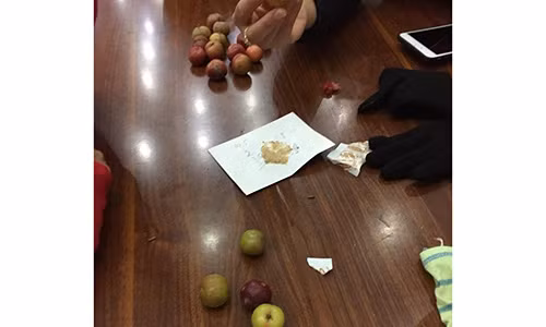 Co gai khong tiec tien mua man trai mua va cai ket dang long