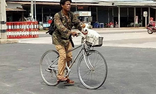 Hành trang lên đường của anh Kaen là chiếc xe đạp cũ và một con chó.