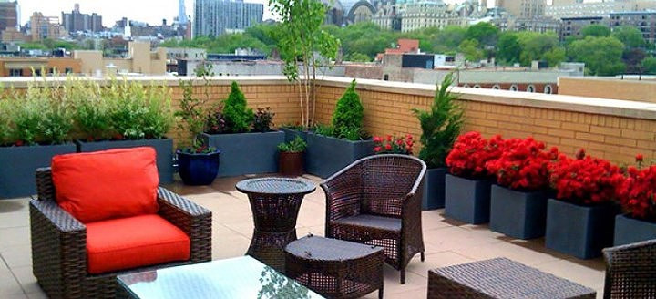 Sân thượng được bố trí nhiều bồn hoa sặc sỡ tạo không gian vui tươi.