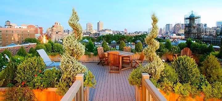 Vườn trên sân thượng phong cách độc đáo.