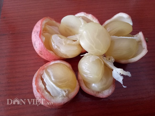 Dâu da rừng khi non quả có màu xanh vị chua, khi chín có vị ngọt thanh, nhiều nước, chứa nhiều chất xơ giúp cải thiện hệ tiêu hóa.