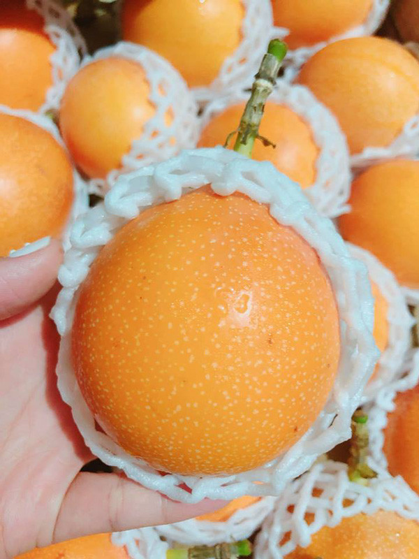 Chanh leo nhap khau hon 100.000 dong/qua van chay hang