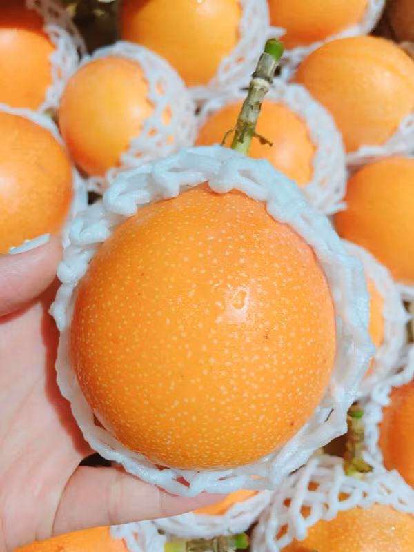 Chanh leo nhap khau hon 100.000 dong/qua van chay hang