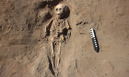 Rung ron phat hien mo co chua nhieu bo xuong nguoi mat chan