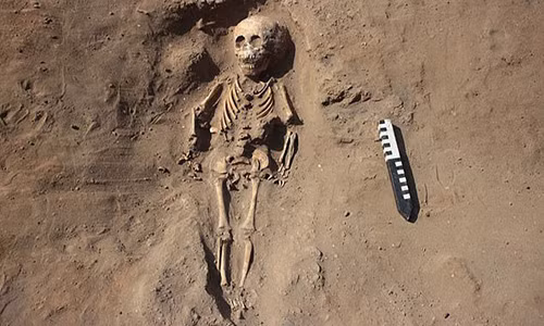 Rung ron phat hien mo co chua nhieu bo xuong nguoi mat chan