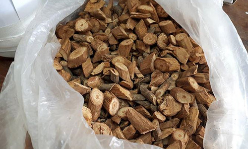 Loại cây thuốc được dùng ngâm rượu khiến 3 người tử vong.