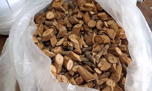 Loại cây thuốc được dùng ngâm rượu khiến 3 người tử vong.