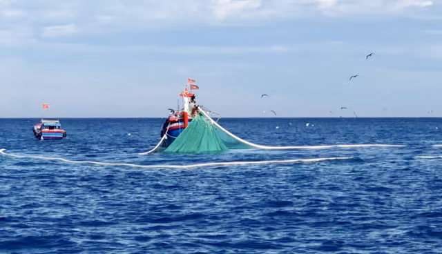 Nhung “tho san” tien o vung bien: Vai gio thu ve hang tram trieu