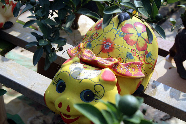 Chậu sứ hình chú heo được anh Mạnh đặt xưởng gốm làm từ một năm trước, khi có chậu sẽ tiến hành trồng cây để phục vụ cho đợt Tết.