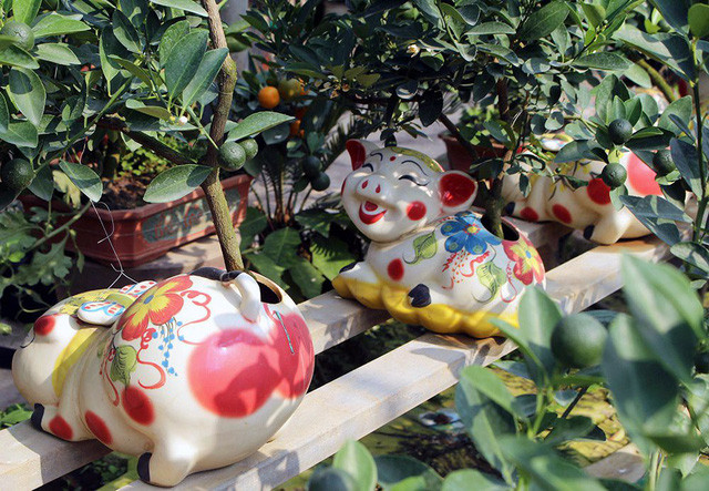 Mẫu mã, kiểu dáng chậu sứ đa dạng để phục vụ thị hiếu đa dạng của người tiêu dùng.