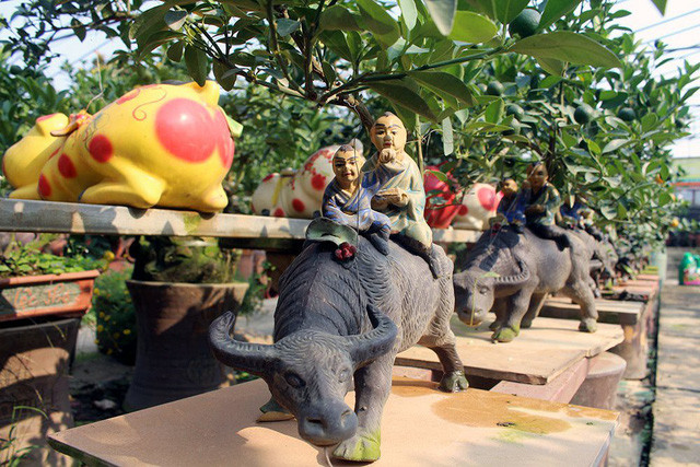 Ngoài những chú heo cõng quất bonsai, trong trong vườn nhà anh Mạnh còn nhiều mẫu hình độc đáo khác.