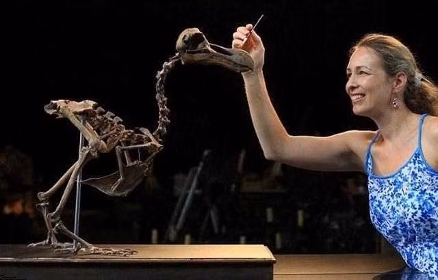 Bộ xương Dodo hoàn chỉnh được bán với giá 9,8 tỷ đồng.