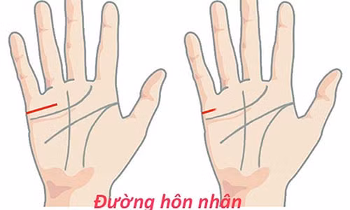 Soi tuong ban tay cua nguoi luon duoc quy nhan phu ho