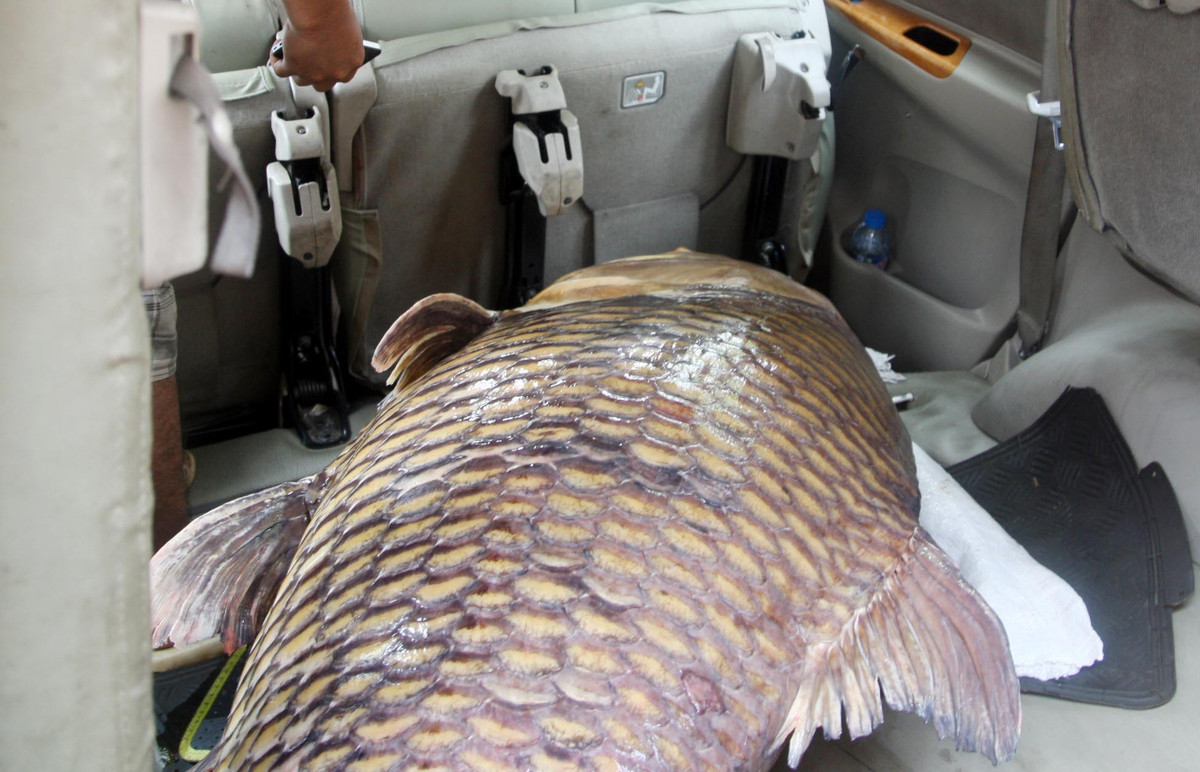 Sau khi bán cá “khủng” với số tiền 124 triệu anh Dũng ra nhánh sông để cúng tạ ơn “thủy thần”.