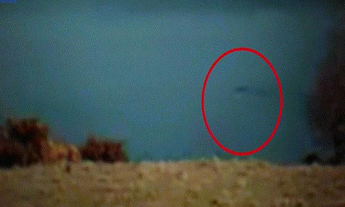 Quái vật lặn xuống rồi bơi lên rồi lặn xuống và biến mất, theo lời kể của nhân chứng.