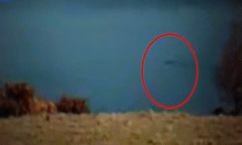 Quái vật lặn xuống rồi bơi lên rồi lặn xuống và biến mất, theo lời kể của nhân chứng.