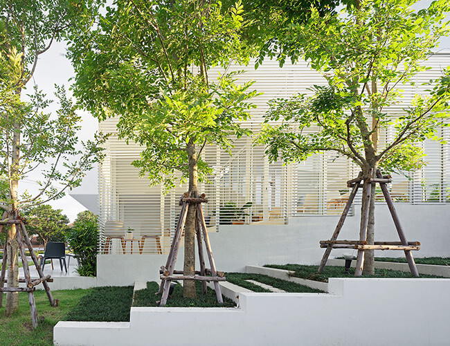 Cây cối phủ xanh cho phần ngoại thất của căn nhà.