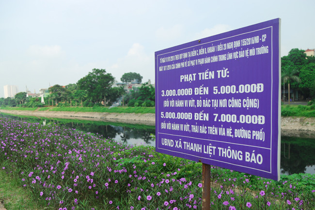 Với việc trồng hoa tím bên bờ sông và nhiều hoạt động vệ sinh sông hồ, đường sá khác, xã Thanh Liệt luôn là xã kiểu mẫu ở khu vực ven sông Tô Lịch trong phong trào vệ sinh, bảo vệ môi trường.