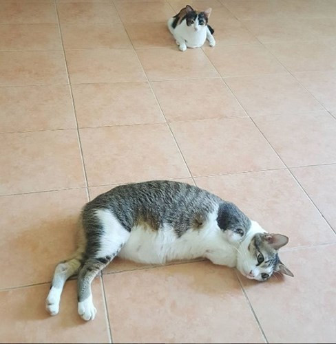 Able tận tưởng giây phút thảnh thơi, hạnh phúc trong ngôi nhà.