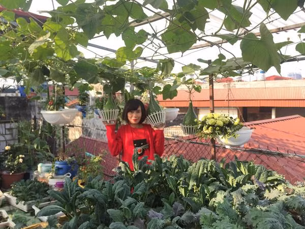 Nhà chị Nhung đúng chuẩn căn nhà “mặt phố” với tổng diện tích khiêm tốn chỉ 45m2. Khu sân thượng vì thế cũng không khá khẩm là bao. Tất cả đều được chị sử dụng làm vườn, trồng rau, nuôi gà, tạo ra nguồn thực phẩm sạch cho gia đình và còn là nơi để chị thư giãn sau mỗi ngày làm việc mệt mỏi.