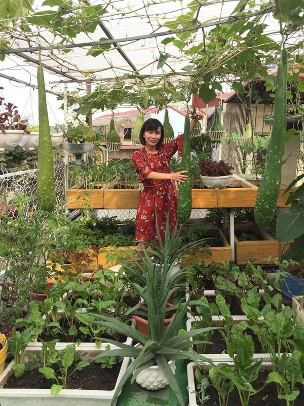 San thuong day rau qua cua me Ha Noi khien chi em 