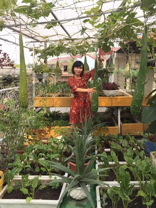 San thuong day rau qua cua me Ha Noi khien chi em 