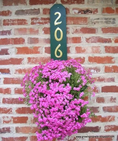 Tân trang biển số nhà bạn trở nên cực kỳ nổi bật nhờ một đóa hoa rực rỡ, đầy màu sắc ngay bên dưới.