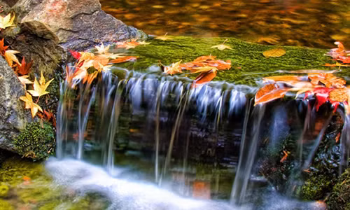 Con nguoi sao cu phai tham lam truy cau?