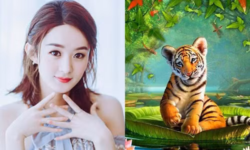 Tuổi Dần vốn mang mệnh phú quý, nên những gì họ làm đều sẽ gặt hái được thành công trong tương lai, chỉ quan trọng họ có kiên nhẫn hay không? Cụ thể trong hai tháng đầu năm 2019, tuổi Dần chuẩn bị tinh thần đón lộc trời cho, không chỉ có quý nhân phương xa giúp đỡ mà bản thân họ cũng tự tạo cơ hội làm giàu cho chính mình.