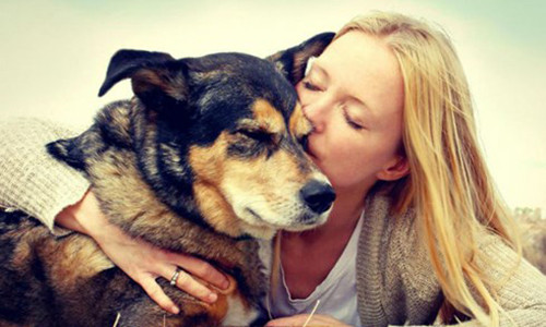 Muon chia tay vi ban gai qua cuong thu cung