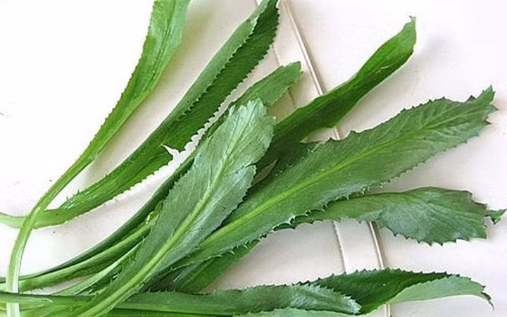 Rau mùi tàu (hay còn gọi là ngò gai) cũng có mặt trên Amazon.