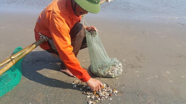 Trung bình mỗi người có thể bắt được từ 5 đến 10kg ngao to nhỏ, được bán với giá dao động từ 25-60 ngàn đồng/1kg.