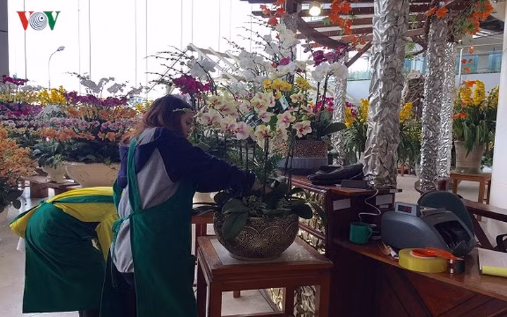 Ngoài các chậu hoa trưng bày, nhân viên tại đây sẵn sàng cắm hoa theo yêu cầu của khách hàng (về số lượng cành, giá và loại hoa).