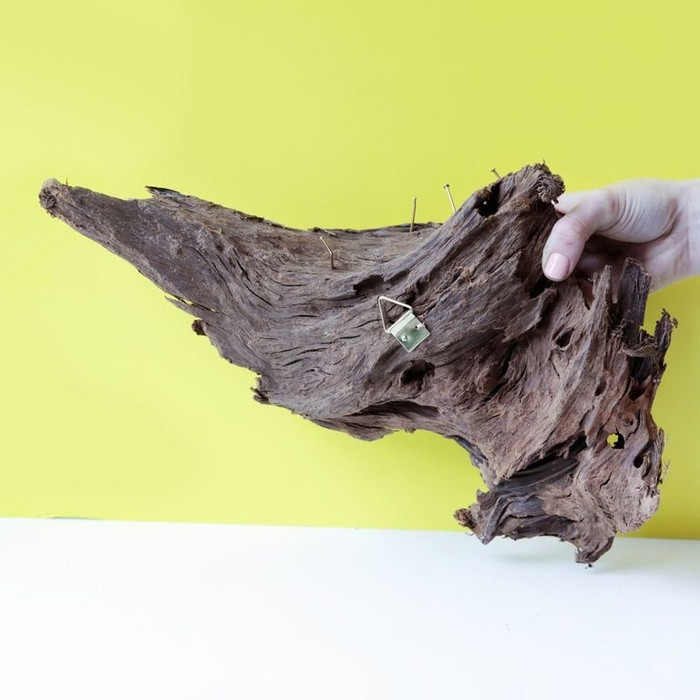 Cách làm: Bước 1: Gắn vít bám thật chắc vào gốc cây để bạn có thể treo lên tường.