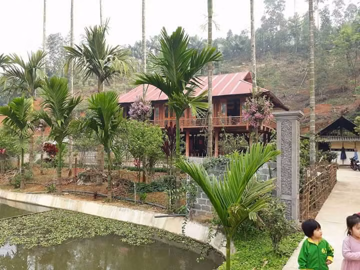 "Cứ vào độ tháng âm lịch hàng năm hoa nở rực rỡ, sự kết hợp này tạo nên cảnh sắc vô cùng nên thơ, con cháu trong nhà ai đi xa cũng nhớ về hàng cau với bụi hoa lan của gia đình”, anh Đồng bộc bạch.