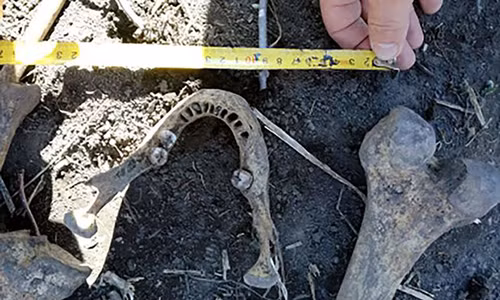 Cảnh sát tiến hành điều tra vụ việc.