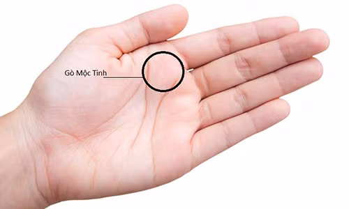 Soi net tuong tay cua nguoi giau sang phu quy