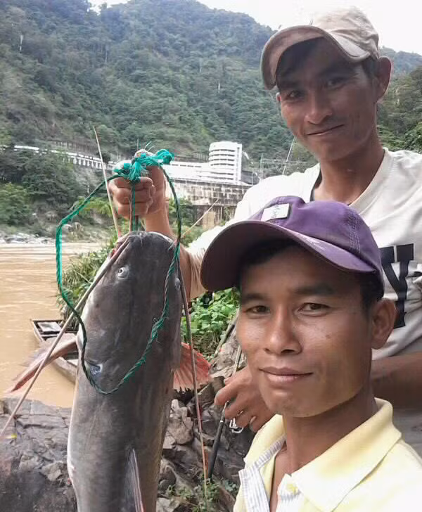 San loai ca duoc vi nhu 