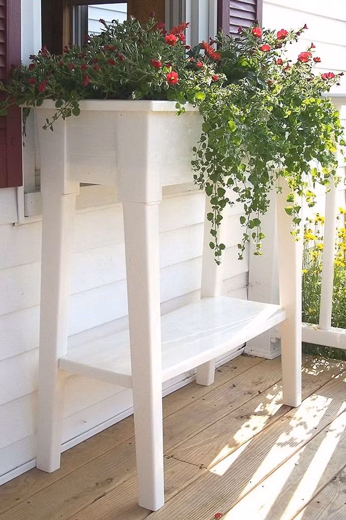 Bạn nên đặt mẫu khay này ở nơi có nhiều ánh sáng như hiên nhà hoặc gần cửa sổ.