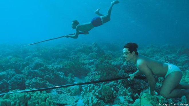 Với sự đăc biêt ấy, người tộc Bajau mỗi ngày giành tới 60% thời gian làm việc dưới đáy biển.