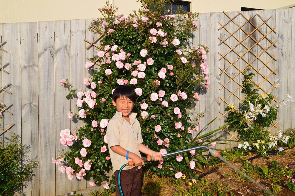 Con trai của chị rất hào hứng với công việc làm vườn và thường phụ giúp mẹ nhặt cỏ và tưới cây.