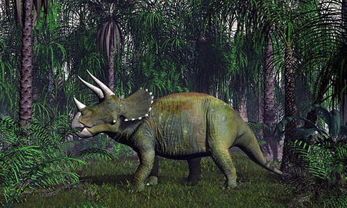 Loài khủng long Triceratop 3 sừng đã bị tuyệt chủng. (Nguồn: fineartamerica.com)