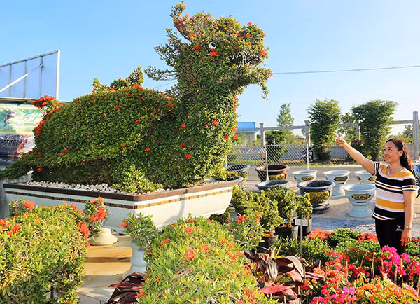 Vuon kieng thu lon bac nhat dat Tay Do khien dan tinh thich thu