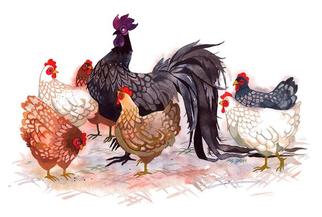 4. Tuổi Dậu: Những người thuộc con giáp này luôn tràn đầy lý tưởng và hi vọng cho tương lai. Nhiều người cho rằng mặc dù hứa hẹn nhưng họ có vẻ kiêu ngạo và ít khi giúp đỡ người khác. Thực thế không phải vậy. 