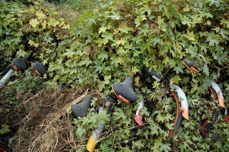 Xe đạp của các công ty cho thuê xe đạp chất đống tại Thượng Hải.