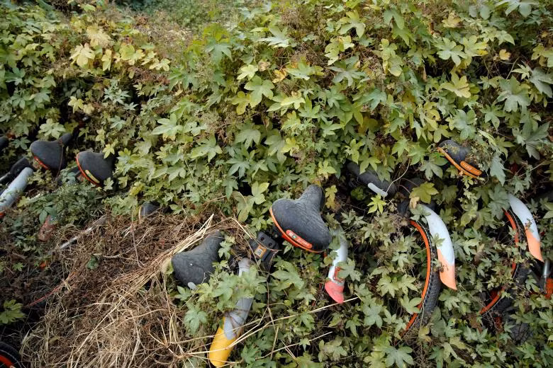 Xe đạp của các công ty cho thuê xe đạp chất đống tại Thượng Hải.